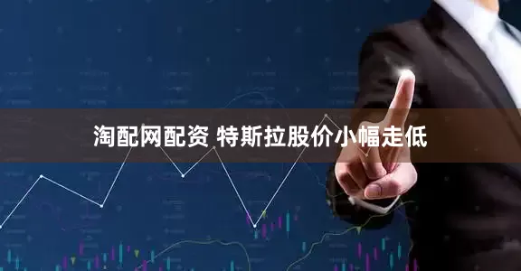 淘配网配资 特斯拉股价小幅走低